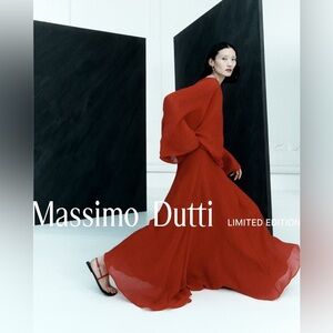 NWT Massimo Dutti Limited Edition - Long Flowing Skirt